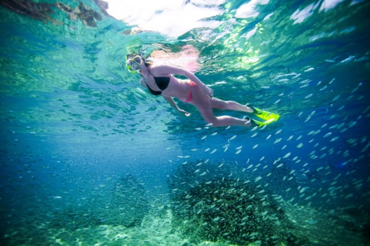 Tour en kayak y snorkel en Land's End