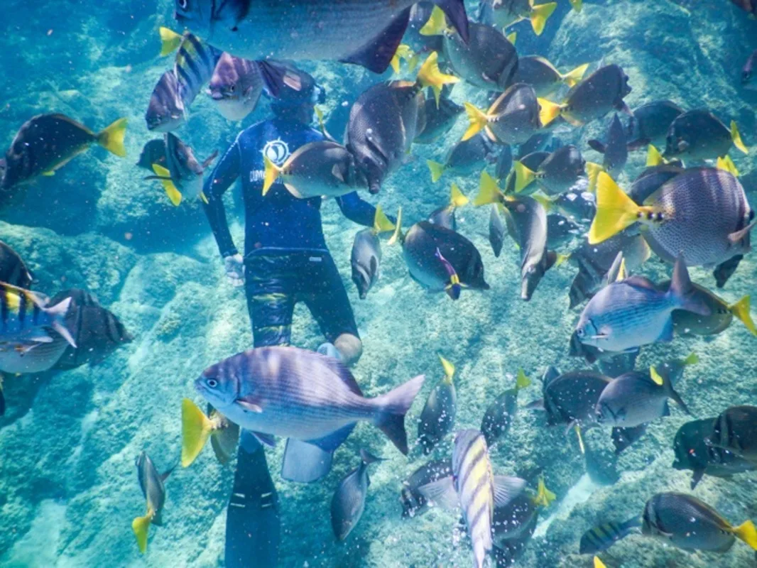 Tour en kayak y snorkel en Land's End