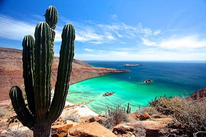Tour isla Espíritu Santo