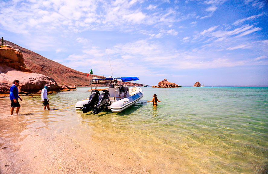 Tour isla Espíritu Santo