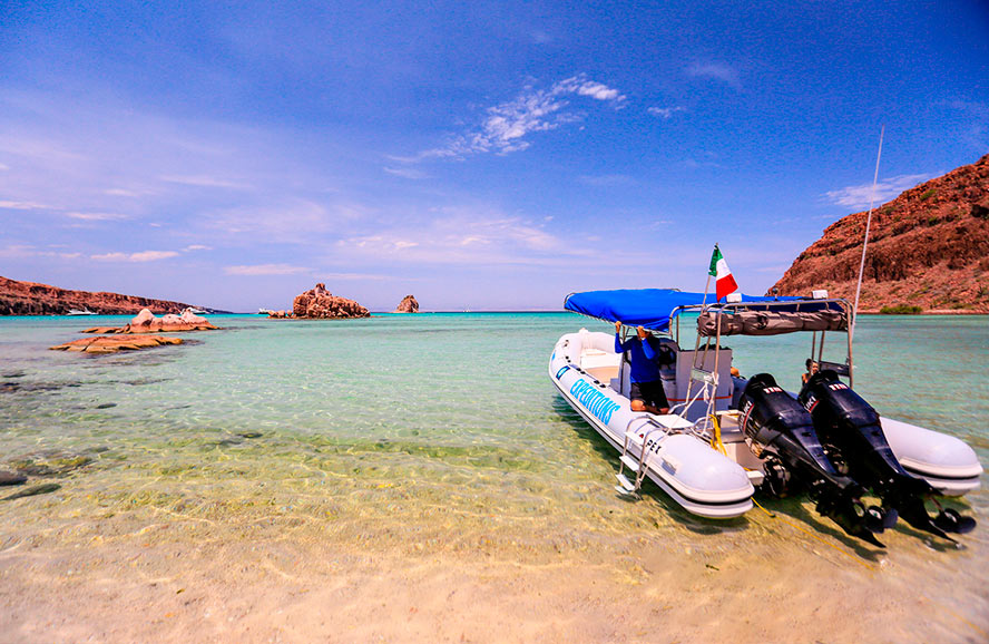 Tour isla Espíritu Santo