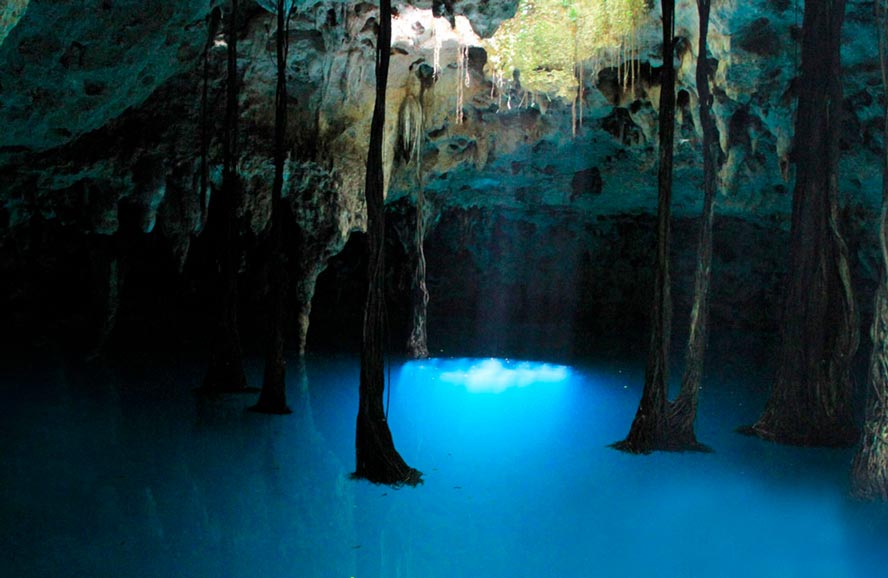 Tour Xenotes con transportación