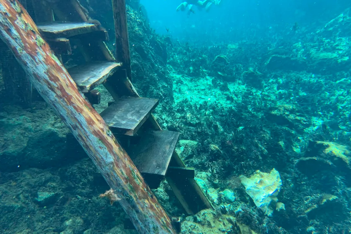 Ruinas de Tulum y Parque de Cenotes Casa Tortuga