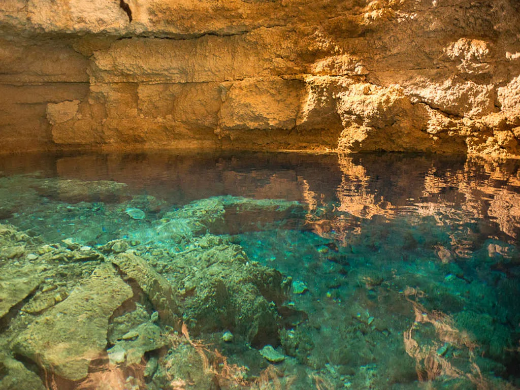 Tulum de aventura 3 Cenotes y 1 Laguna