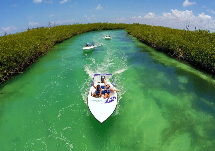 Jungle Tour Single Cancun 