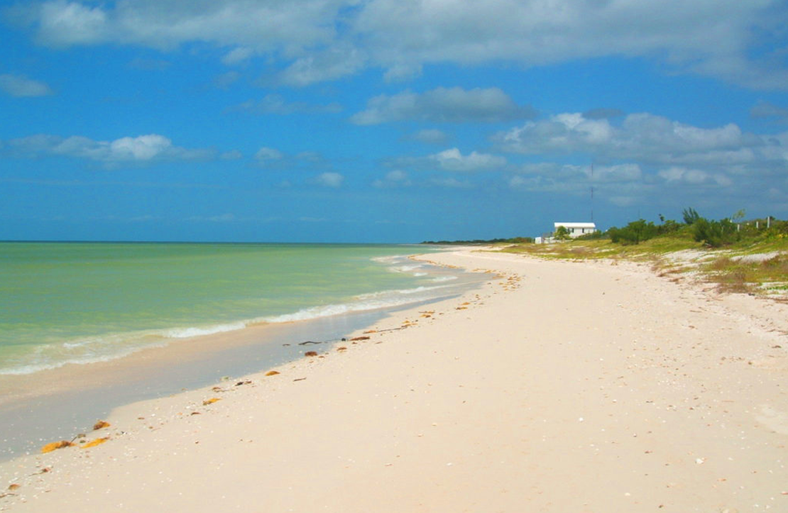 Playa de Celestún y Manglar desde Mérida