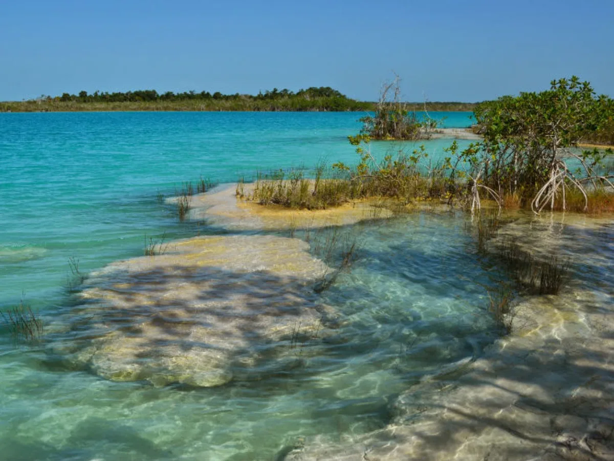 Tour Bacalar Ponton y Cenote Azul