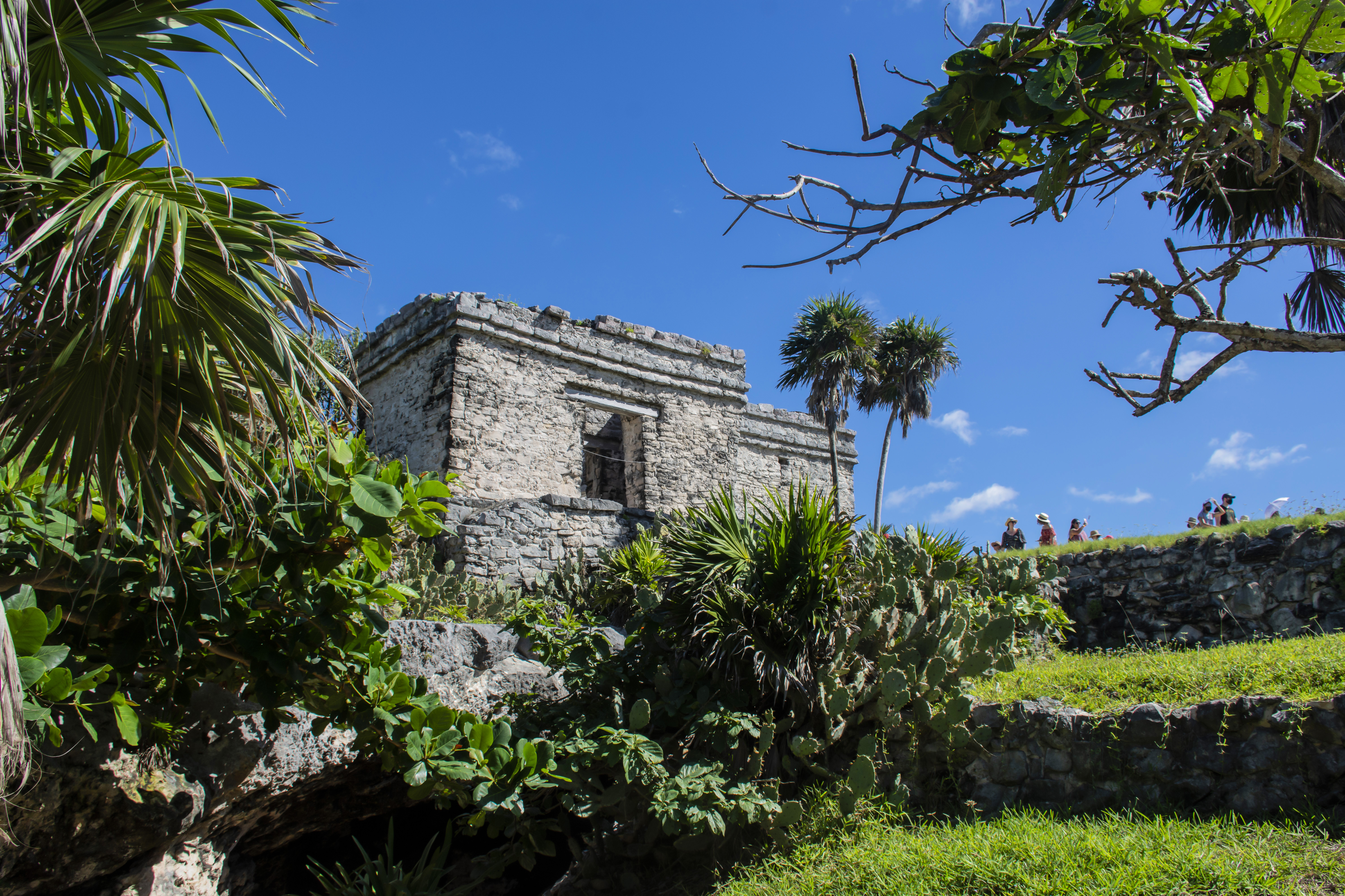 4x1 Tour Tulum, Coba, Cenote and Playa del Carmen 