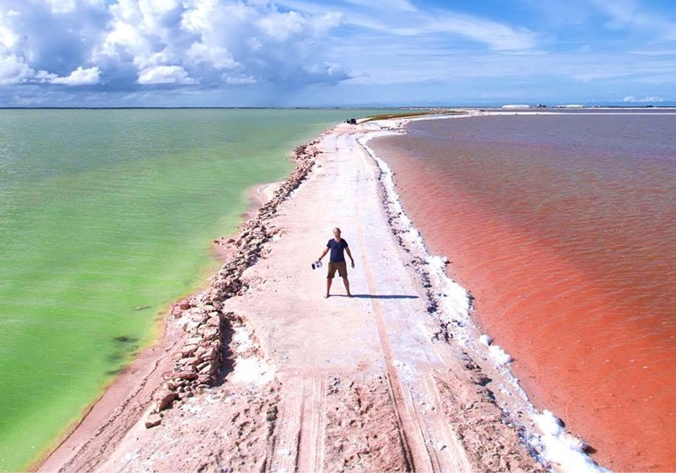 Tour Las Coloradas y Rio Lagartos