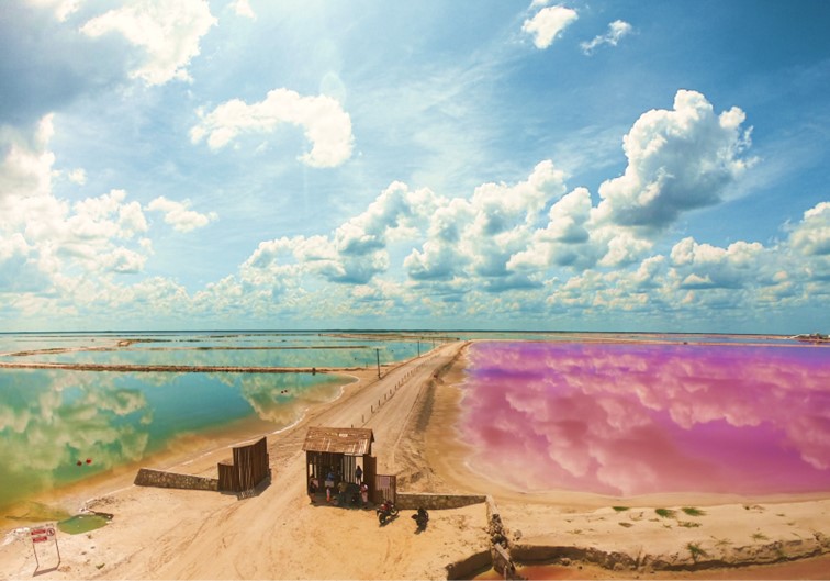 Tour Las Coloradas y Rio Lagartos