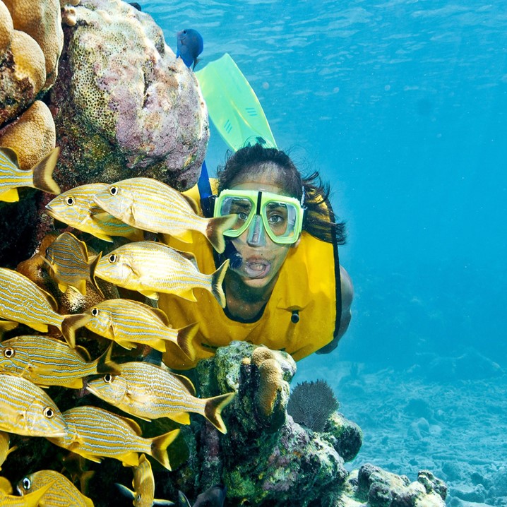 Xtreme Snorkel Adventure