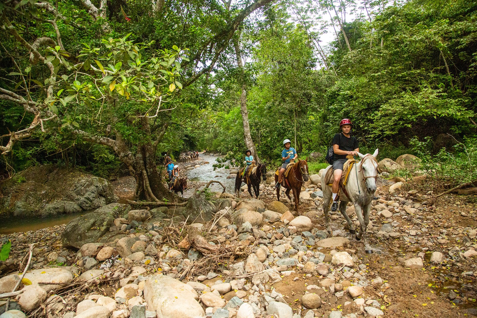 Paseo en caballo en La Sierra Madre Puerto Vallarta
