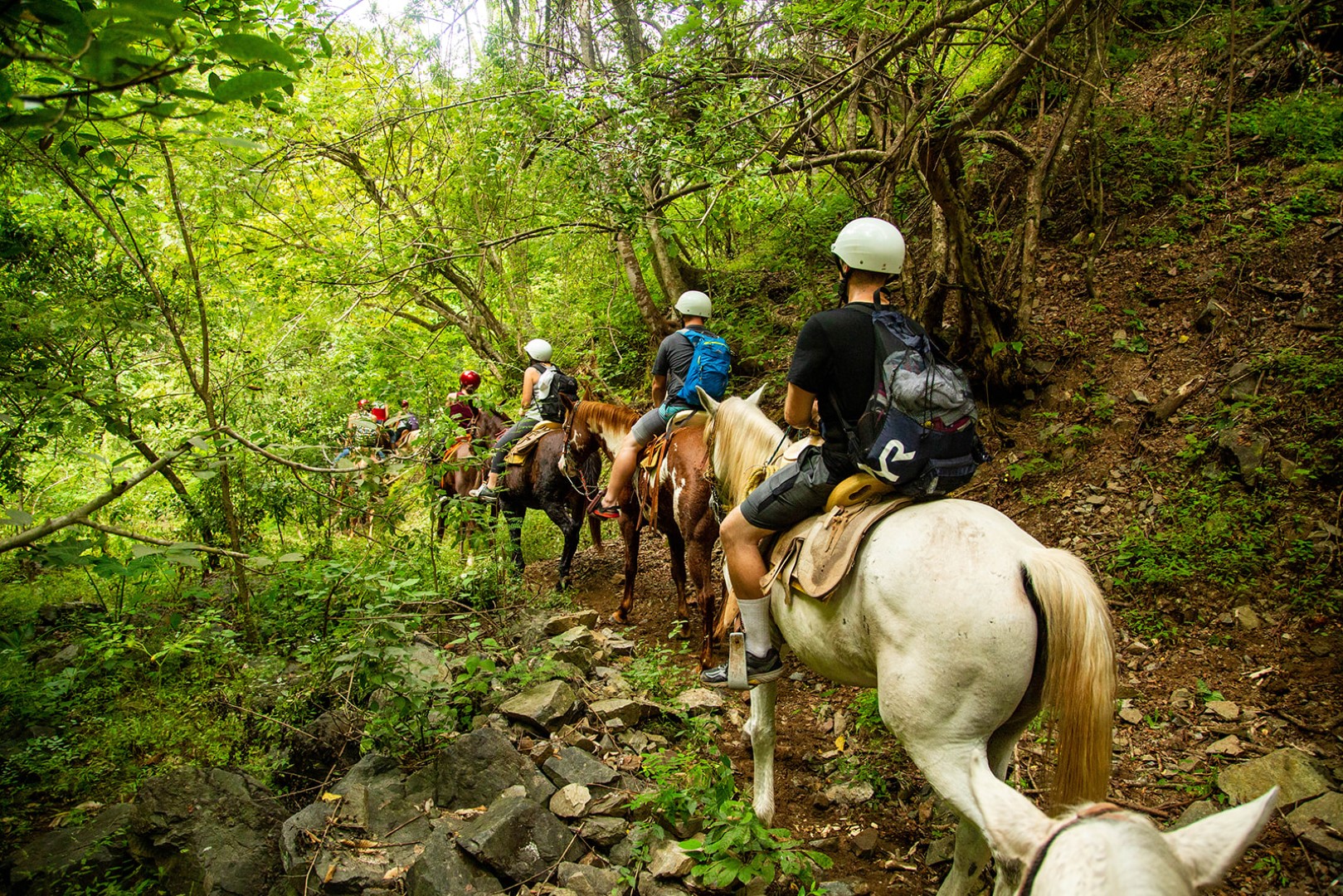 Paseo en caballo en La Sierra Madre Puerto Vallarta