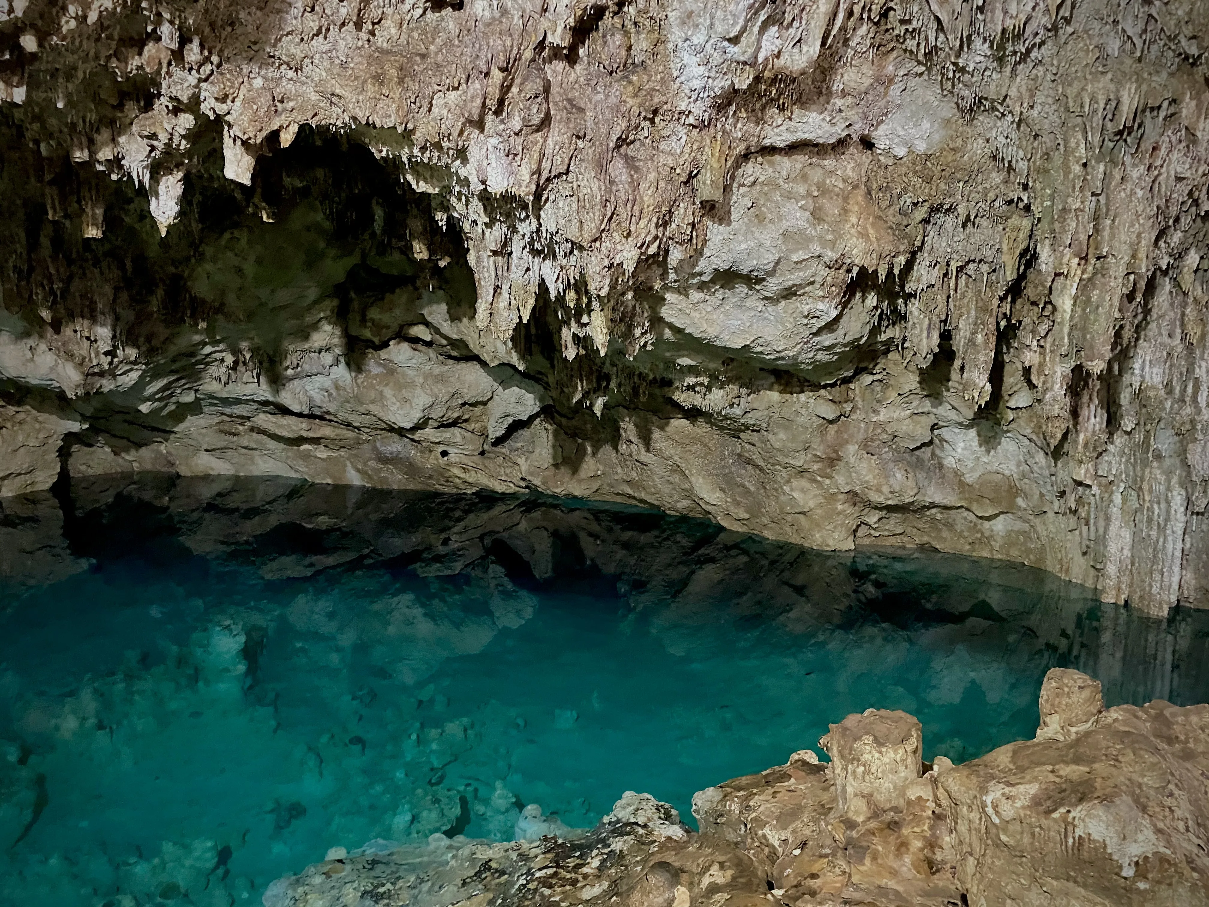 Excursión de día completo a 4 cenotes desde Merida