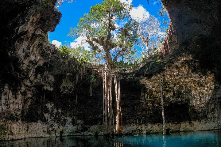 Excursión de día completo a 4 cenotes desde Merida
