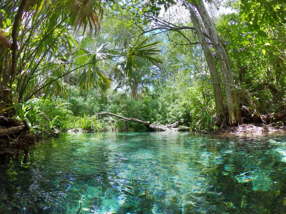 Excursión a Sisal en bote por los manglares y playas desde Merida