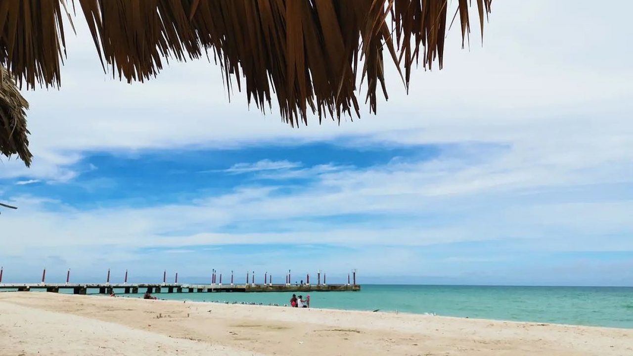 Excursión a Sisal en bote por los manglares y playas desde Merida