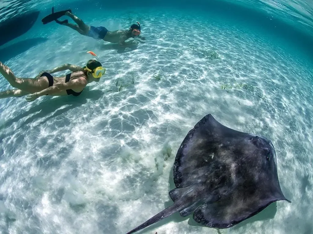 Tour Cozumel Cielo Snorkel
