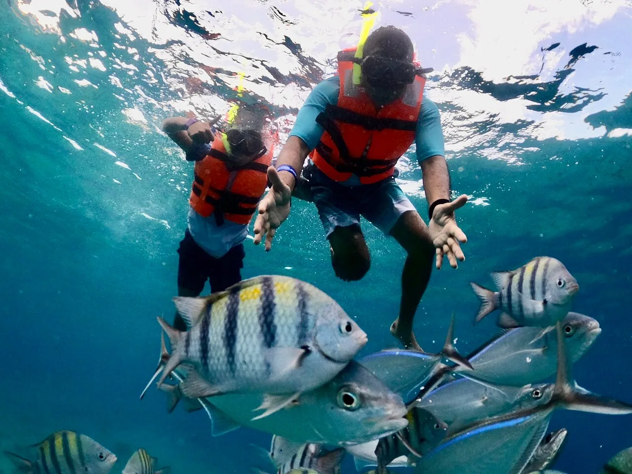 Tour Cozumel Cielo Snorkel