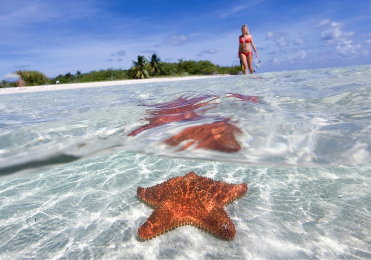Tour Cozumel Cielo Snorkel