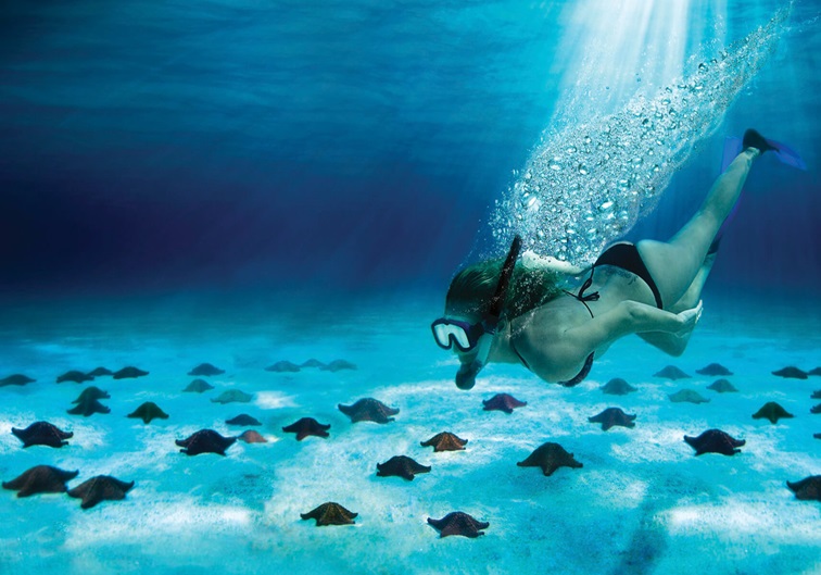 Cozumel Cielo Snorkel Tour