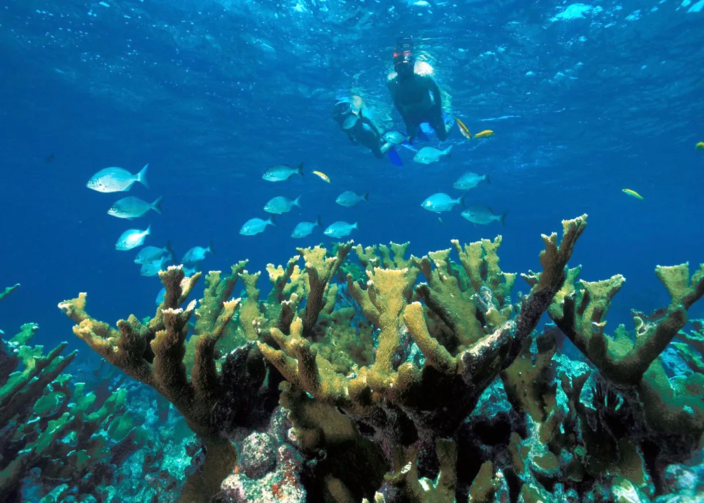 Tour Isla Contoy Catamaran