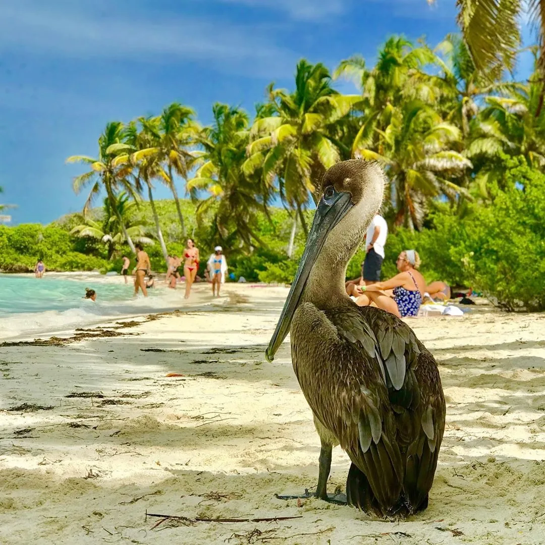 Tour Isla Contoy Catamaran