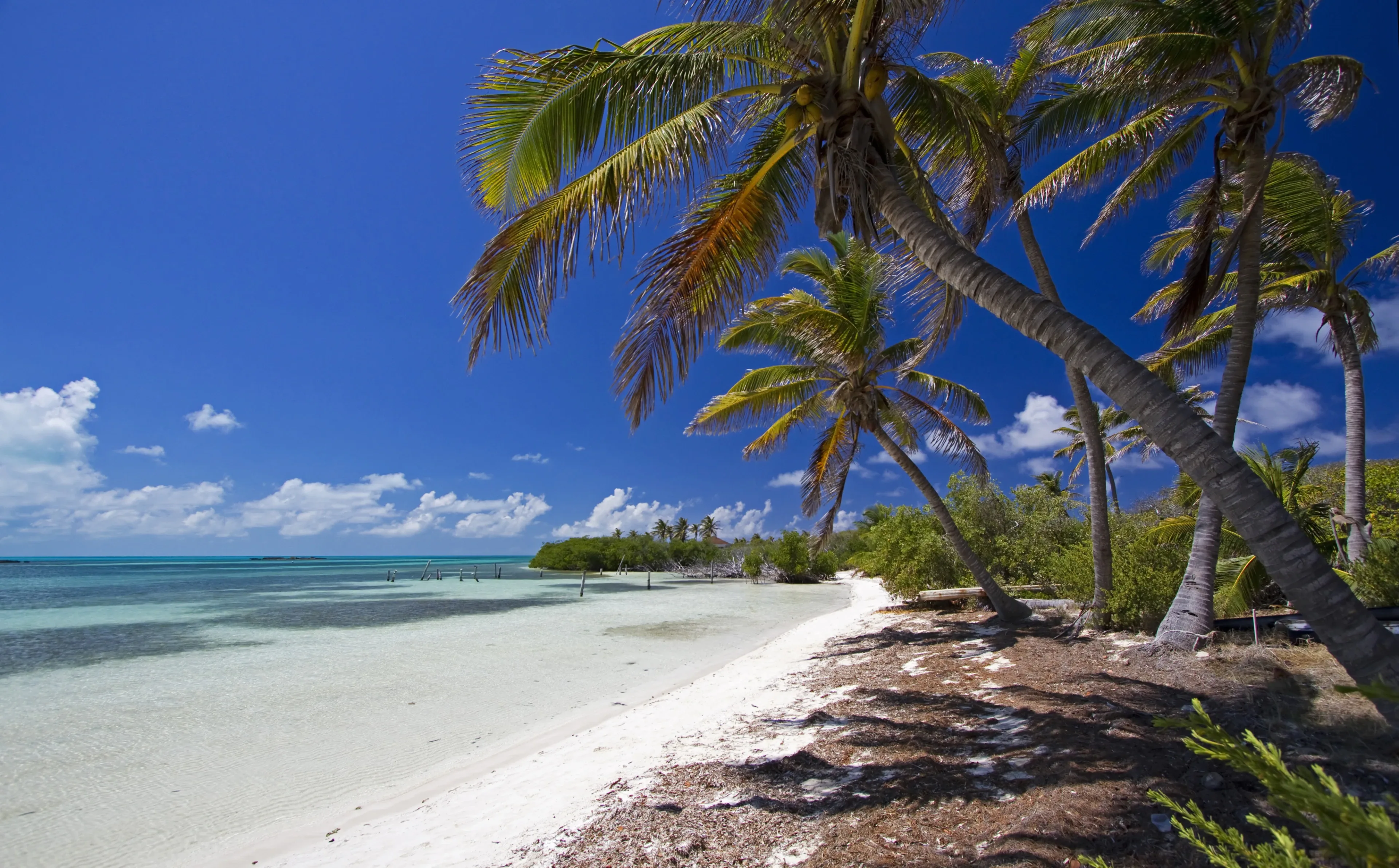 Tour Isla Contoy Catamaran
