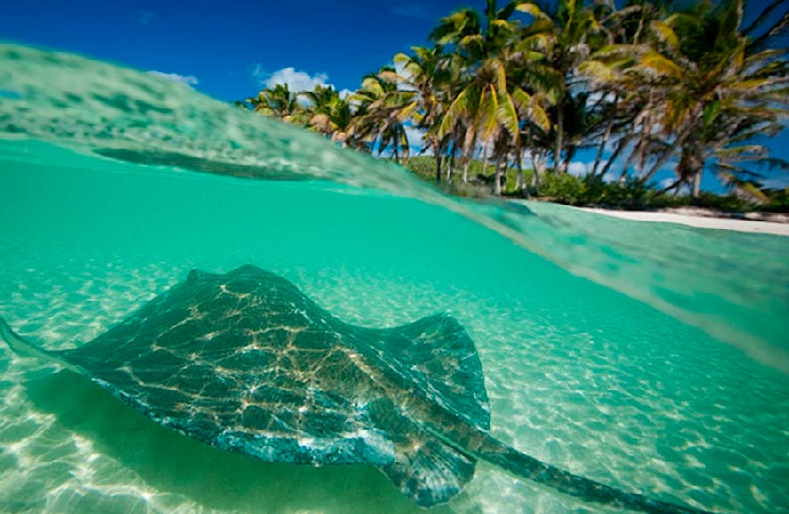 Tour Isla Contoy Catamaran