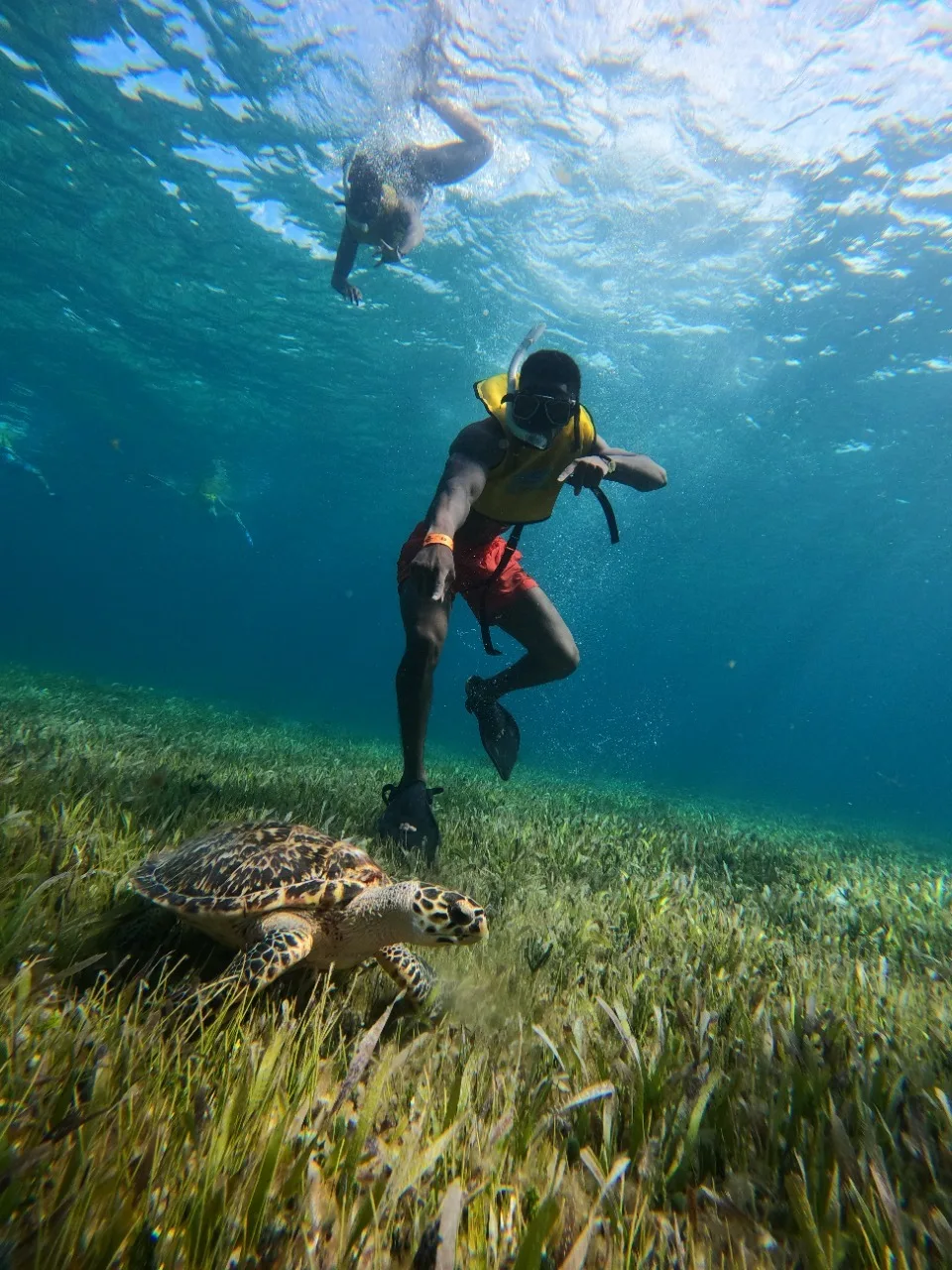 Tour Snorkel Cancun