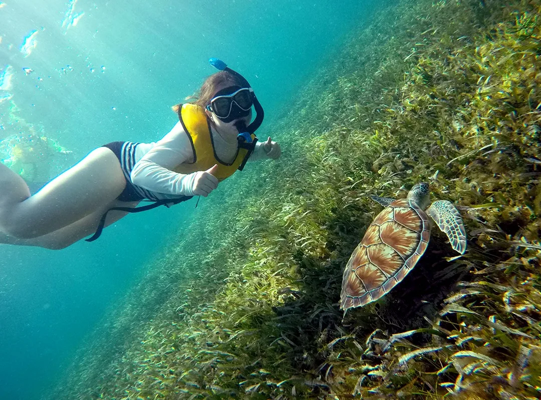 Tour Snorkel Cancun