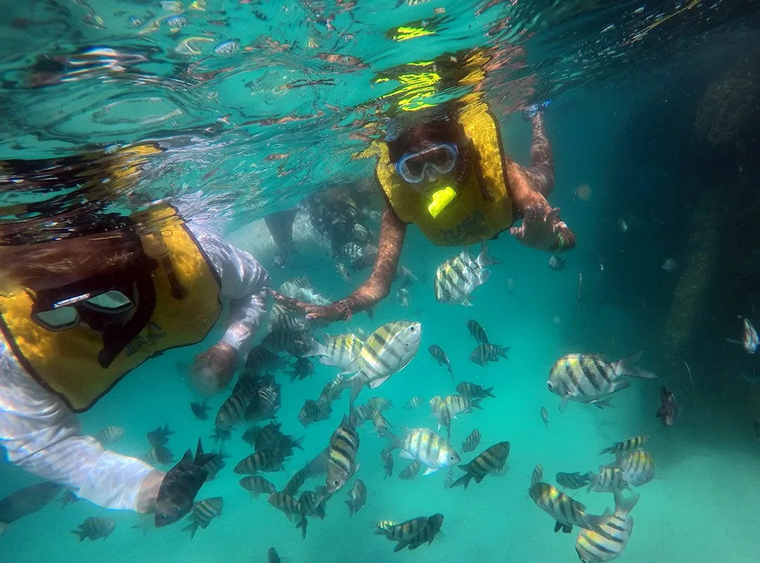 Tour Snorkel Cancun