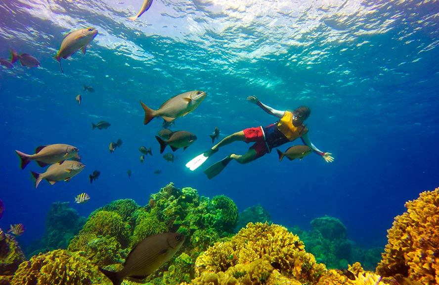 Tour Snorkel Cancun