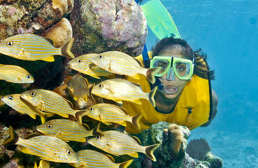 Tour Snorkel Cancun