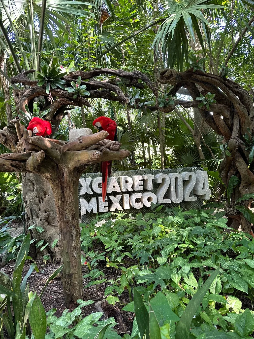 Tour Xcaret Plus con transporte