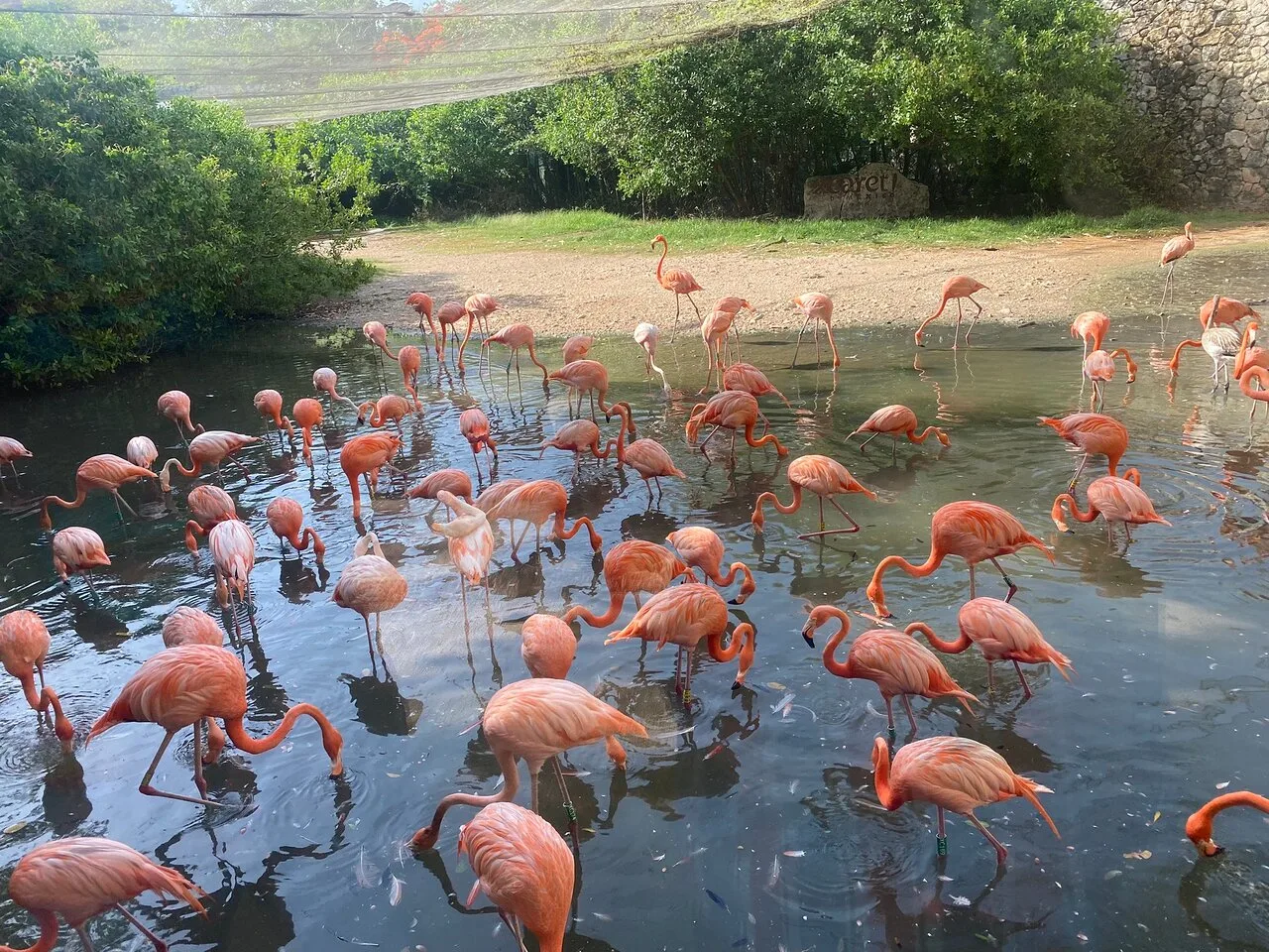 Tour Xcaret Plus con transporte