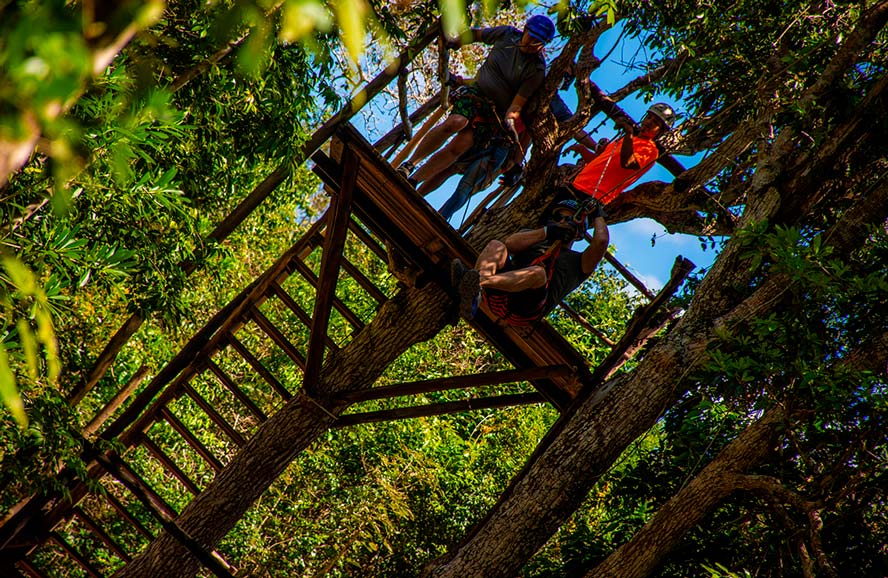 Combo 3x1  ATV compartido, Caballos, Tirolesa y Cenote