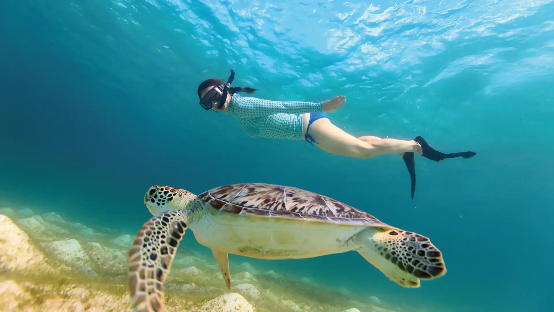 Tour Tulum, Cenote y Akumal Nado con Tortugas
